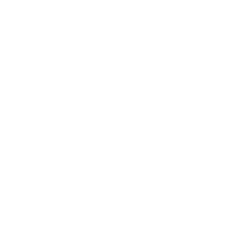 Viajoyo Logo